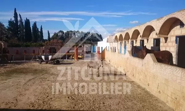 A vendre un terrain à Hammamet