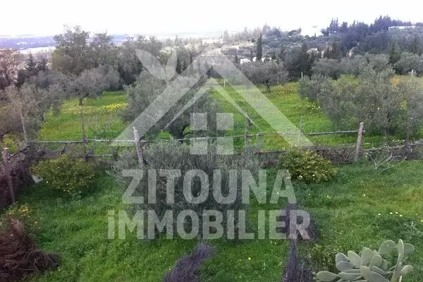 A vendre une ferme à Morneg