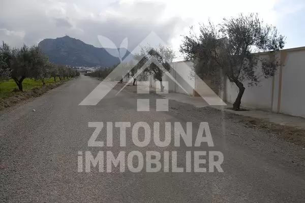 A vendre à Zaghouan une belle villa