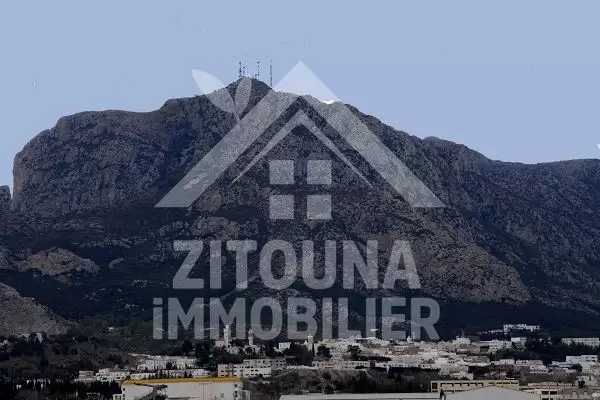 A vendre à Zaghouan une belle villa