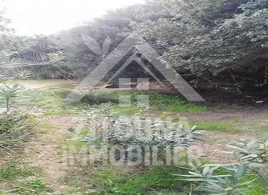 Terrain à vendre, trés bonne occasion