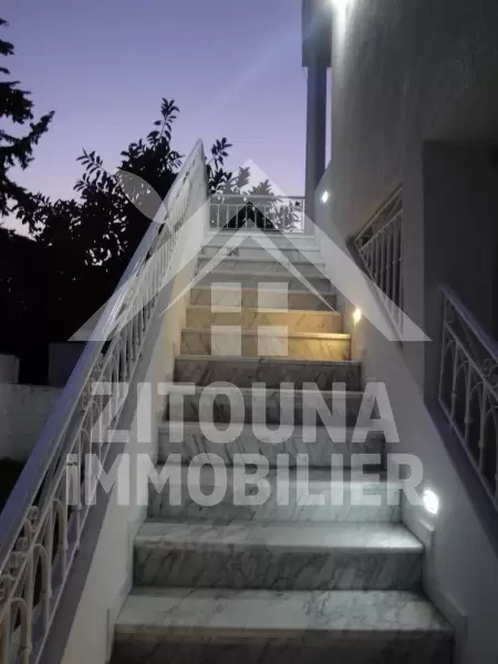 Appartement neuf à louer