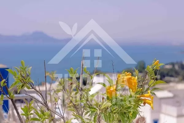 Location villa VIP à Sidi Bou Said pour court séjour