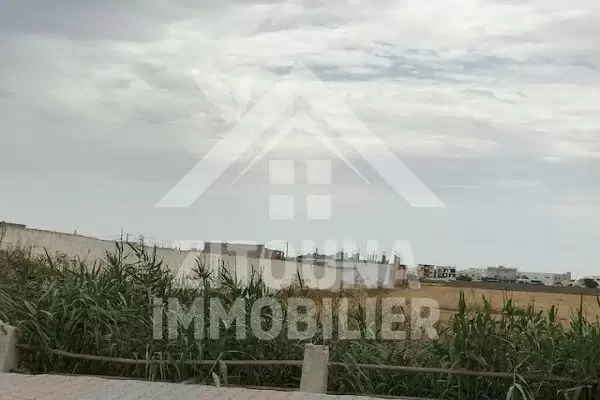 Une bonne opportunité à ne pas rater ,des lots de terrain à vendre très bien placés