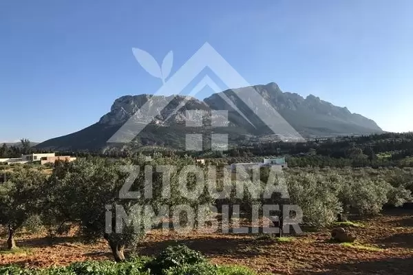 Ferme à vendre à Morneg