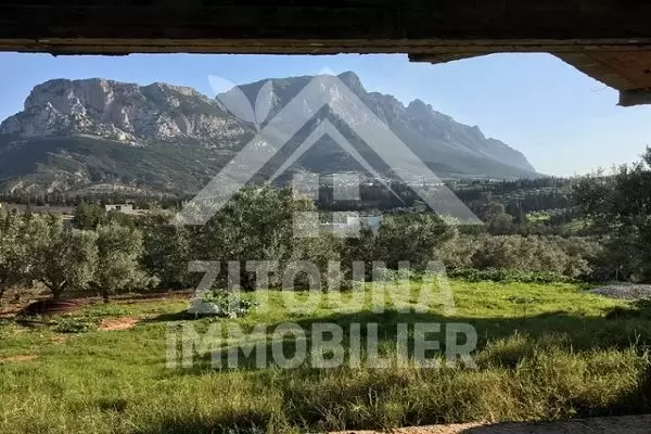 Ferme à vendre à Morneg