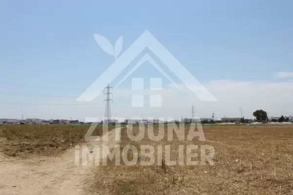 Terrain à vendre à la Marsa