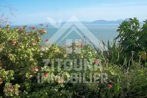 A louer une maison Typique à Sidi Bou Said