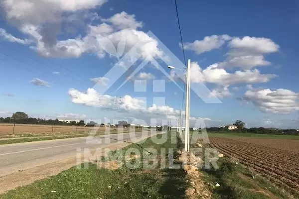 A vendre un terrain de 1,5HA en 1 ère position à Borj Youssef route de Bizerte