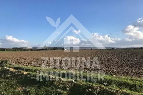 A vendre un terrain de 1,5HA en 1 ère position à Borj Youssef route de Bizerte