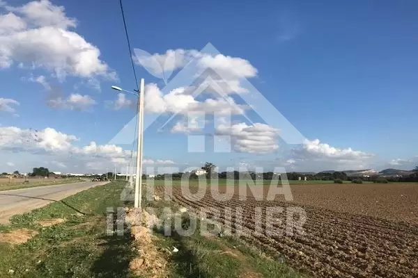 A vendre un terrain de 1,5HA en 1 ère position à Borj Youssef route de Bizerte