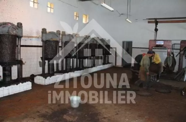 A vendre une huilerie traditionnelle entièrement équipée et fonctionnelle à TEBOURSOUK ,Gouvernorat de BEJA