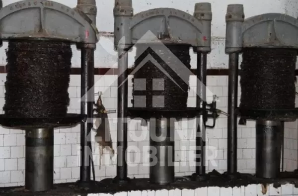 A vendre une huilerie traditionnelle entièrement équipée et fonctionnelle à TEBOURSOUK ,Gouvernorat de BEJA