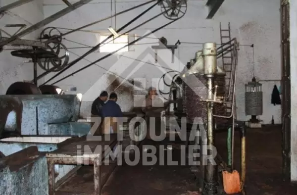 A vendre une huilerie traditionnelle entièrement équipée et fonctionnelle à TEBOURSOUK ,Gouvernorat de BEJA