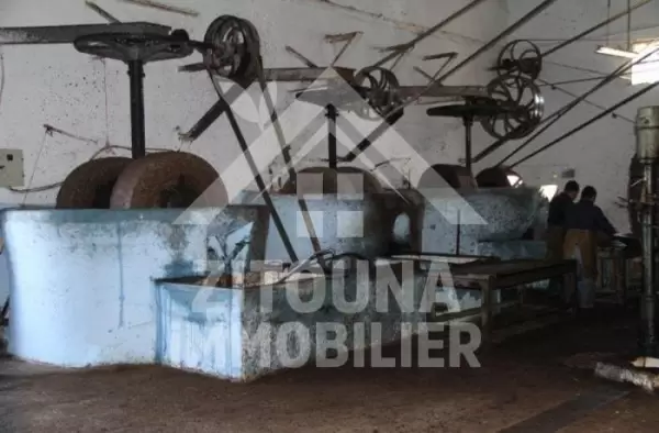 A vendre une huilerie traditionnelle entièrement équipée et fonctionnelle à TEBOURSOUK ,Gouvernorat de BEJA
