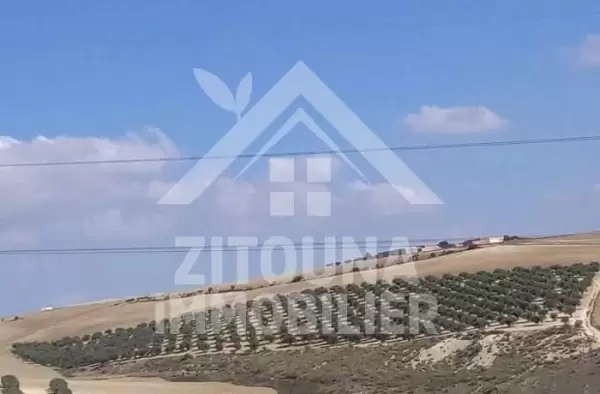 une opportunité d’investissement ! A vendre une ferme de 12HC à manouba