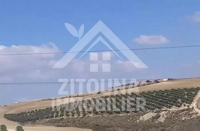 une opportunité d’investissement ! A vendre une ferme de 12HC à manouba