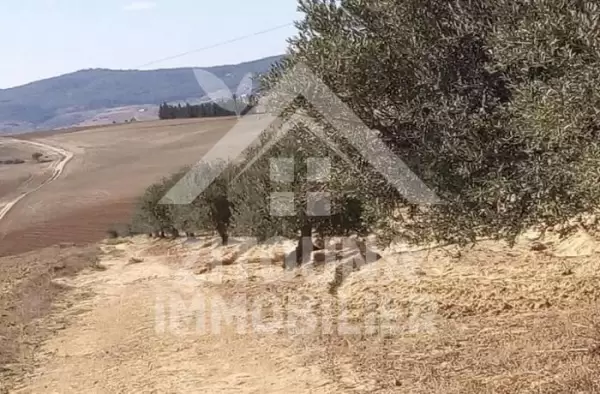 une opportunité d’investissement ! A vendre une ferme de 12HC à manouba