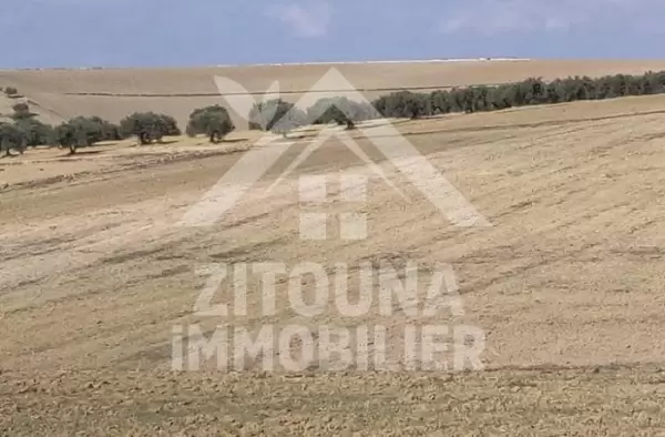 une opportunité d’investissement ! A vendre une ferme de 12HC à manouba