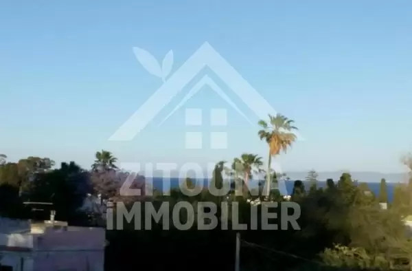 à vendre une opportunité d'affaire exceptionnelle pour une villa à carthage hannibal