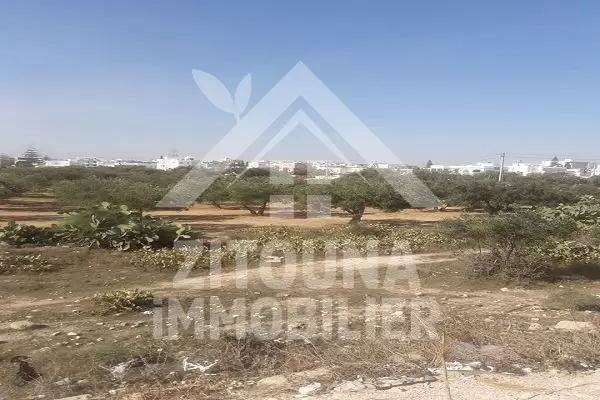 A vendre deux lots de terrain agricole de 50.000 m2 et 36.000 m2 à Kerkouen Kelibia
