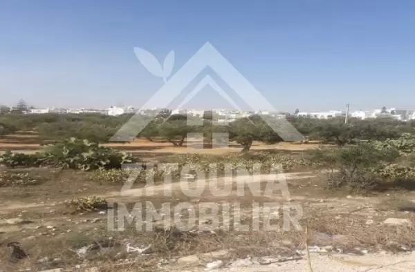 A vendre deux lots de terrain agricole de 50.000 m2 et 36.000 m2 à Kerkouen Kelibia
