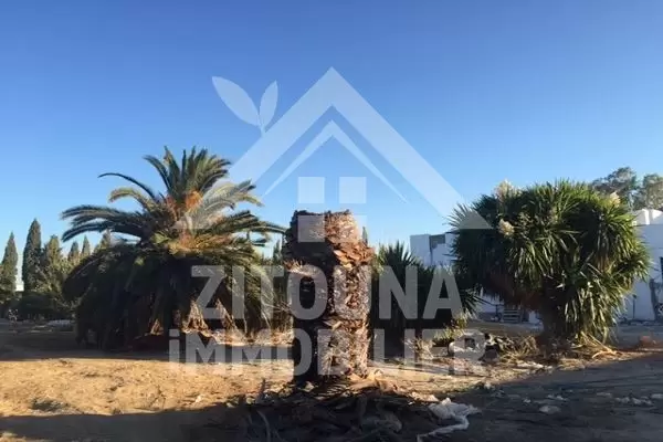 A vendre un terrain à La Soukra