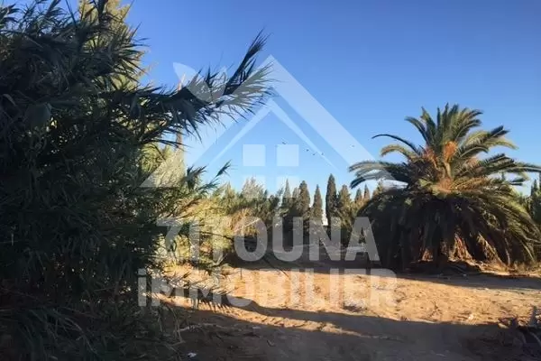 A vendre un terrain à La Soukra