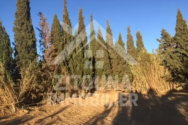 A vendre un terrain à La Soukra