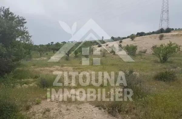 A vendre un terrain de 2000 m² à Oued Elil la Manouba