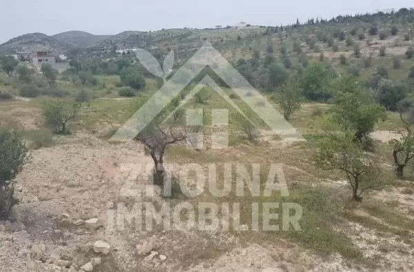 A vendre un terrain de 2000 m² à Oued Elil la Manouba