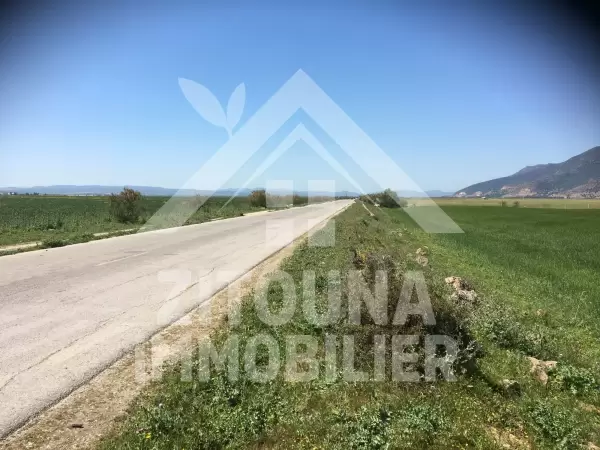 A vendre un terrain agricole de 3 hectares sur route menant a Ichkeul, avec titre Foncier individuel