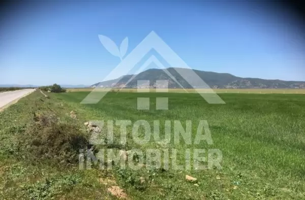 A vendre un terrain agricole de 3 hectares sur route menant a Ichkeul, avec titre Foncier individuel