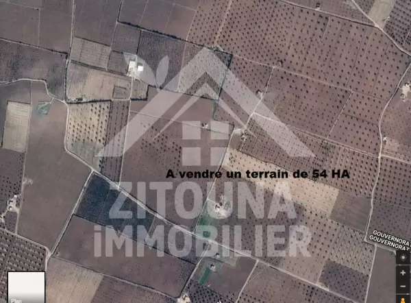 A vendre un terrain de 54 HA situé entre la route de sidi bouzid et sfax