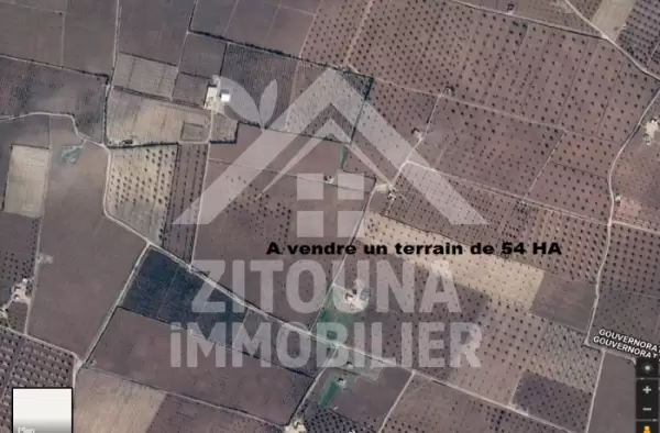 A vendre un terrain de 54 HA situé entre la route de sidi bouzid et sfax