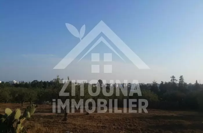 A vendre un terrain de 880m² à Hammamet Sud
