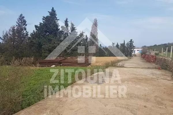 A vendre une ferme à Rafraf Bizerte