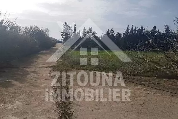 A vendre une ferme à Rafraf Bizerte
