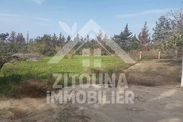 A vendre une ferme à Rafraf Bizerte