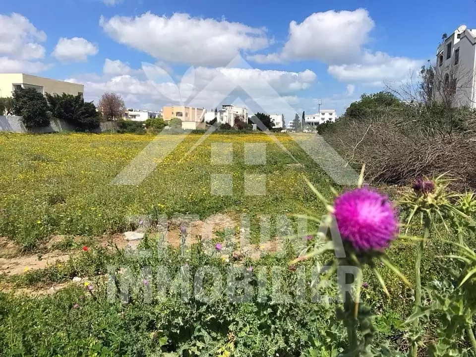 A vendre un lot de terrain de 725.822 m2 à Sidi Daoued