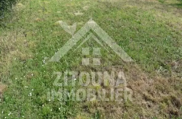 A vendre un lot de terrain de 725.822 m2 à Sidi Daoued