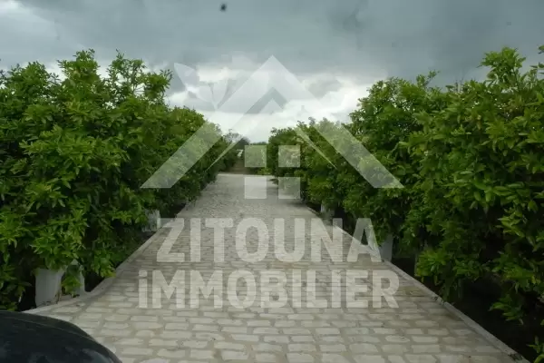 A vendre une belle villa à Mornag