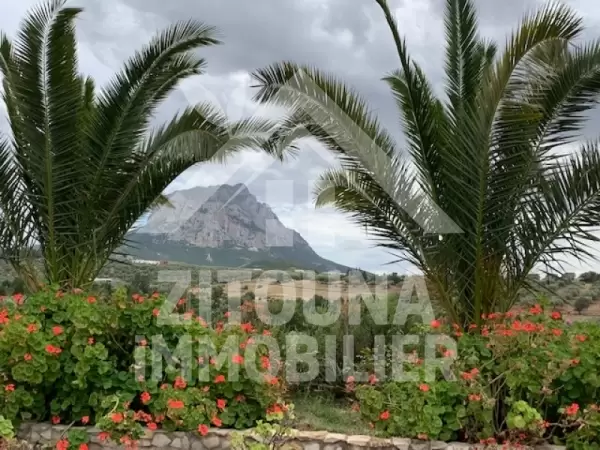 A vendre une villa style architecturaux atypique dans une ferme à Morneg