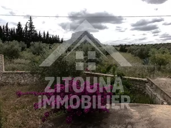 A vendre une villa style architecturaux atypique dans une ferme à Morneg