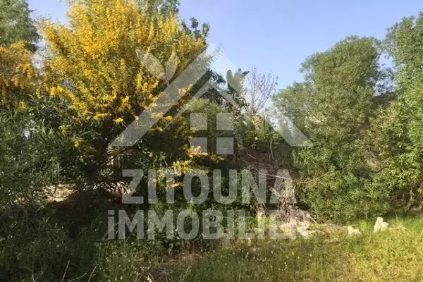 A vendre terrain à La Soukra