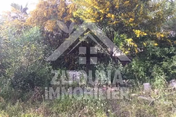A vendre terrain à La Soukra
