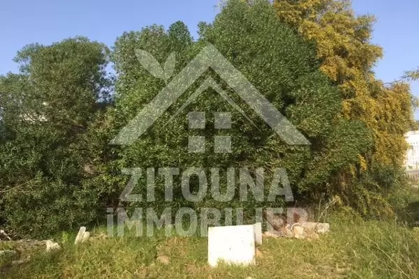 A vendre terrain à La Soukra