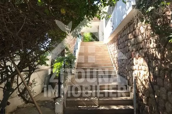 A vendre une villa avec des locaux commerciaux à la Marsa ville