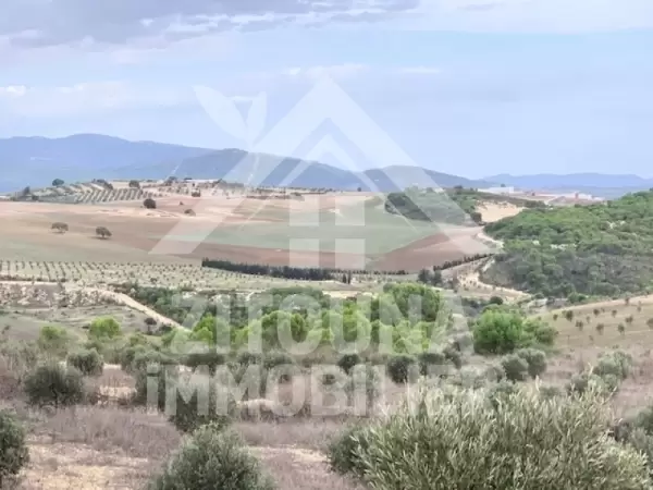 A vendre un terrain de 56 HA très bien placé à Zaghouen