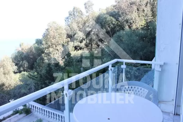 Magnifique Appartement meublé sur la colline de sidi dhrif